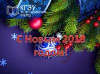 С НОВЫМ 2018 ГОДОМ!