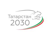 Сборник докладов научно-практической конференции «Развитие цифровой экономики как одно из приоритетных направлений Стратегии–2030 Республики Татарстан»