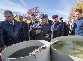 В ЛАИШЕВСКОМ РАЙОНЕ ОТКРЫЛСЯ НОВЫЙ УЧЕБНЫЙ КОРПУС КАФЕДРЫ КГЭУ